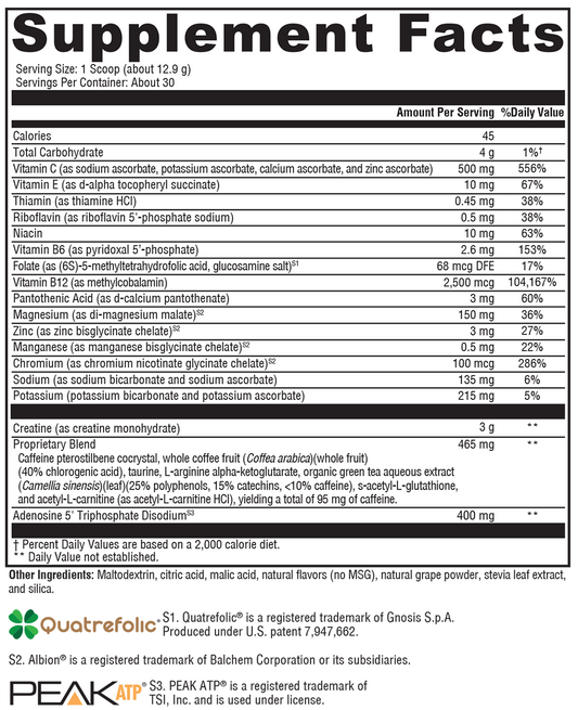 ATP Ignite™ Workout Mixed Berry 30 Servings