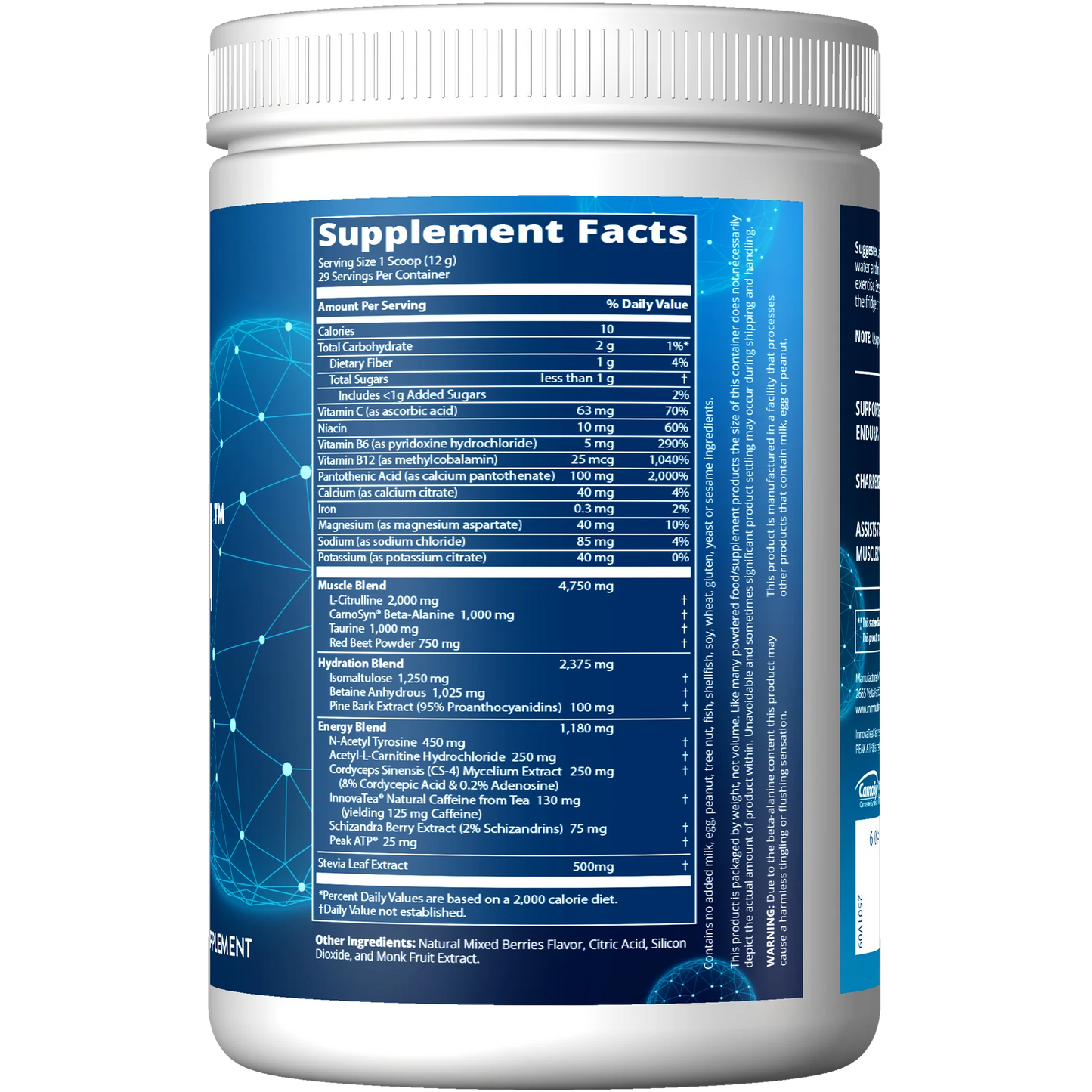 Driven Mixed Berries 29 Servings