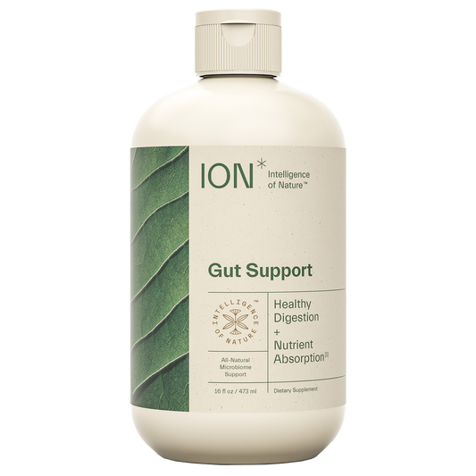 ION* Gut Support 16 fl oz