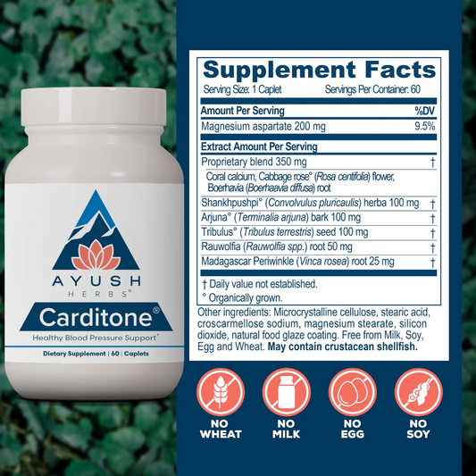 Arjuna Heart 90 Capsules