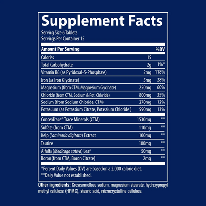 Electrolyte Stamina Tablets 90 Tablets