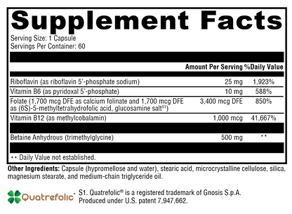 Methyl Protect® 60 Capsules