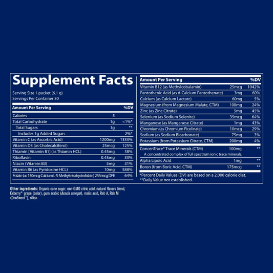 Electrolyte Stamina Power Pak Concord Grape 30 Servings